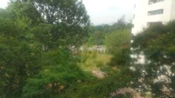 Ivory Heights (D22), Condominium #534181271